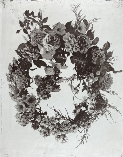 Gayffier herbier forestier - gayffier,,