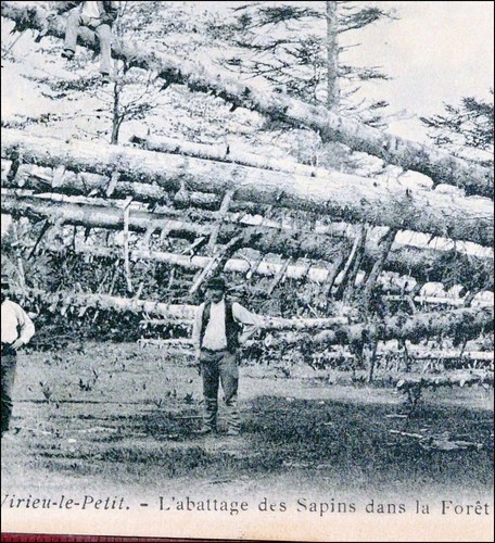 Ain virieu petit - ain, virieu-le-petit