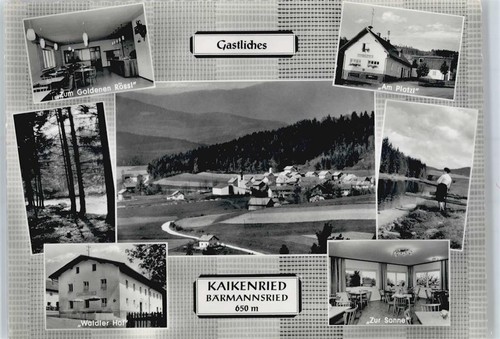 50865439 8376 kaikenried - -,